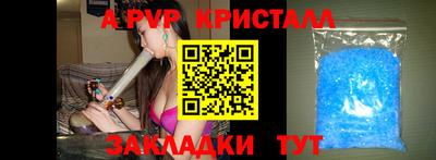 спайс Аргун
