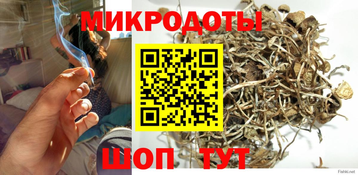 Псилоцибиновые грибы мухоморы  Вход с VPN  Псилоцибиновые грибы Psilocybe  Волгодонск 