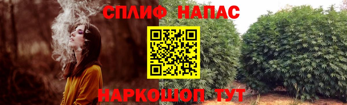 Шишки марихуана гибрид Волгодонск